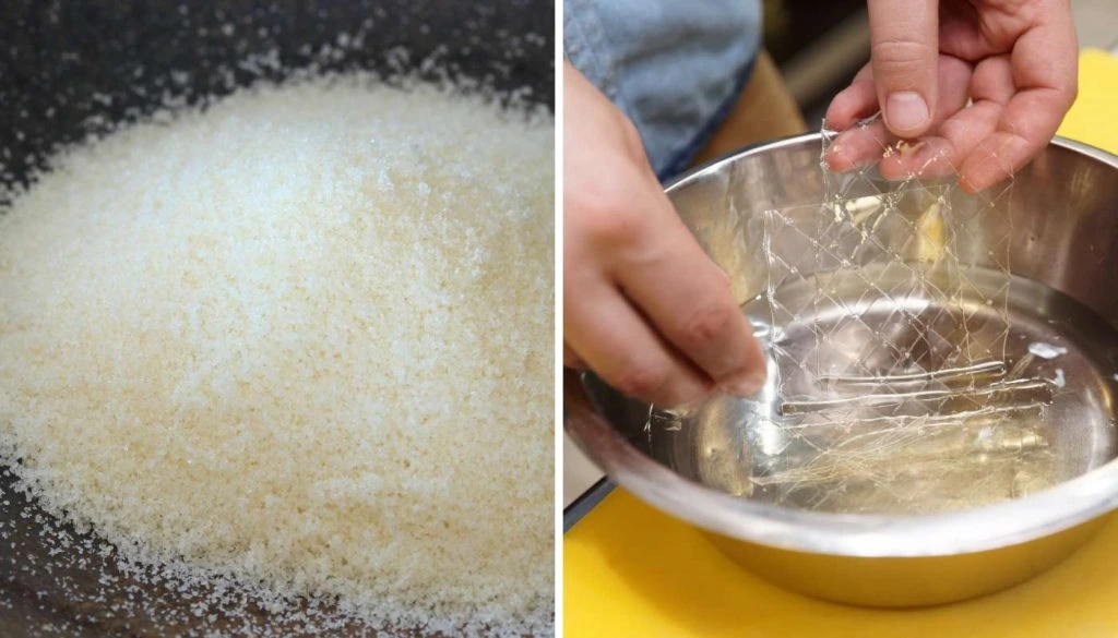 Dr. Jennifer Ashton gelatin recipe ingredients for bariatric weight loss